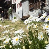 Les recettes de l’imposition de la valeur locative perçues en Valais sont estimées à 70 millions de francs